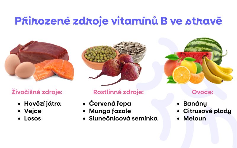 PRIROZENE ZDROJE B